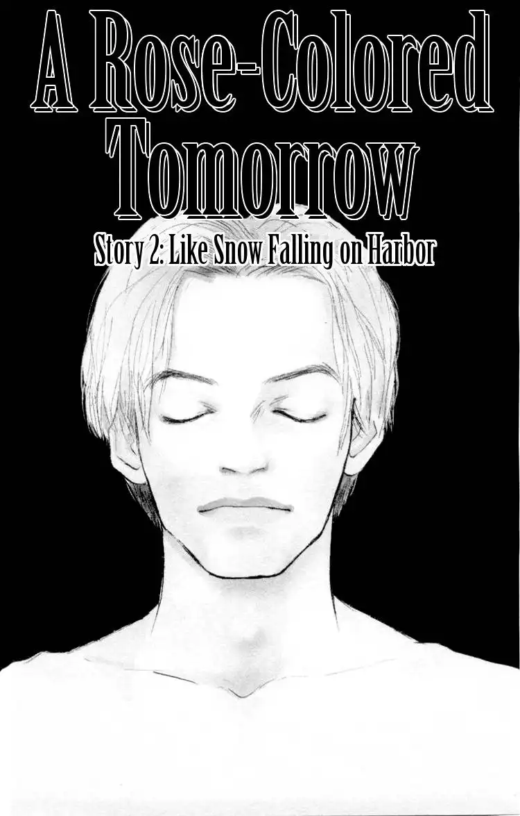 A Rose Colored Tomorrow Chapter 2 1